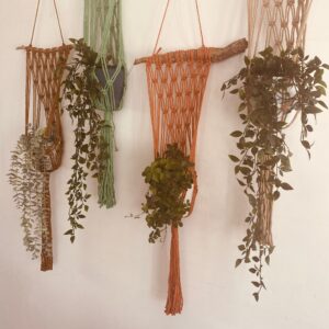 DIY Wandplantenhanger